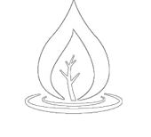 BAZÉNY ZÁVLAHY